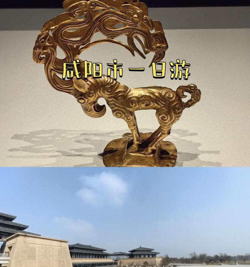 红玫瑰的盛开（一位女子的情感经历）