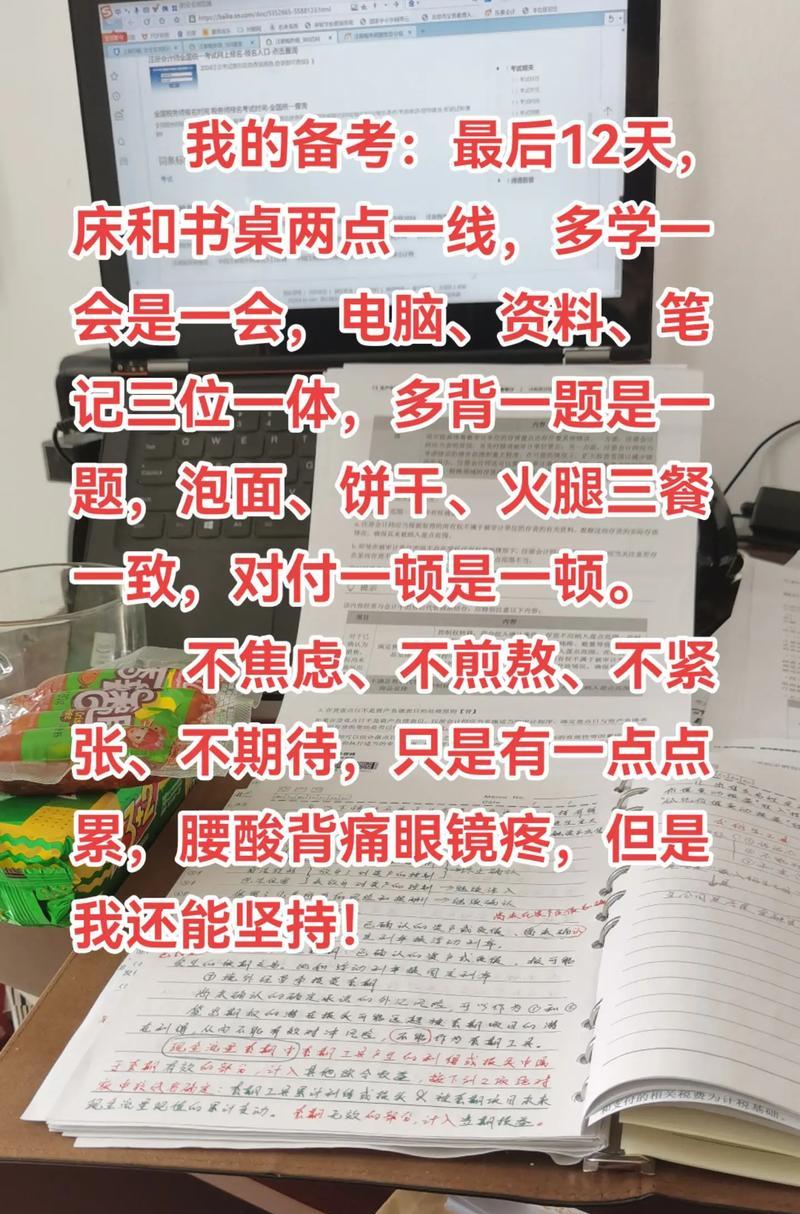 母亲的爱（支撑着我前行）