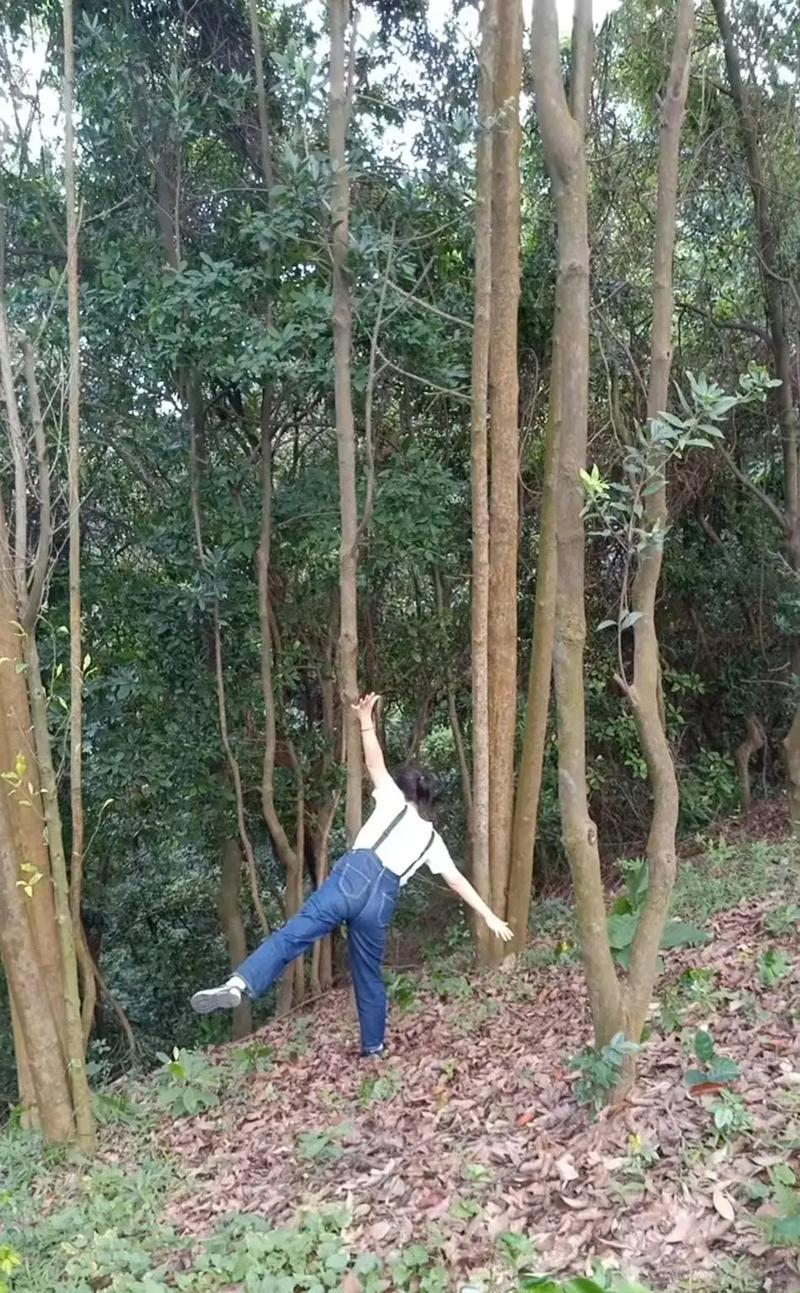 感受大自然（我与山林的邂逅）
