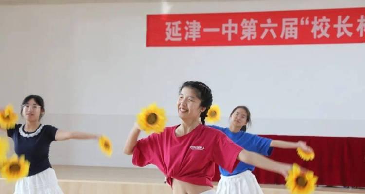 无尽的欢乐（体育艺术节的故事）