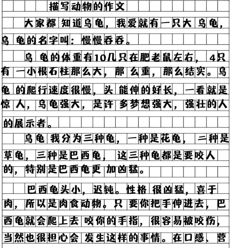 《野性的友情》（一只孤独的野狼和一只温柔的家狗之间的故事）