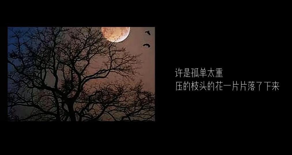 拾起属于我的勇气——一个年轻女孩的故事（挑战自我，坚定前行）