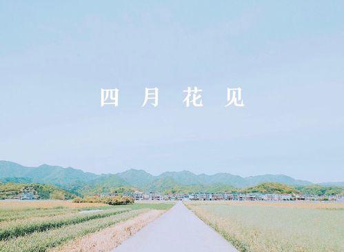 无尽的温暖（寻找心灵的归属）