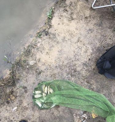 一次钓鱼之旅的启示（一次钓鱼之旅的启示）