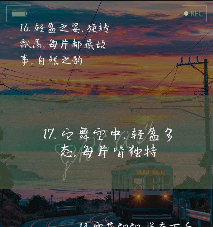 雪花的温度（冰雪世界中的温情）