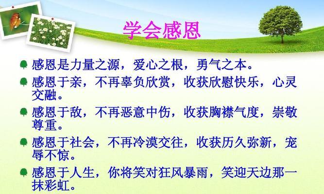 感恩，从心开始（一位孝子的成长故事）