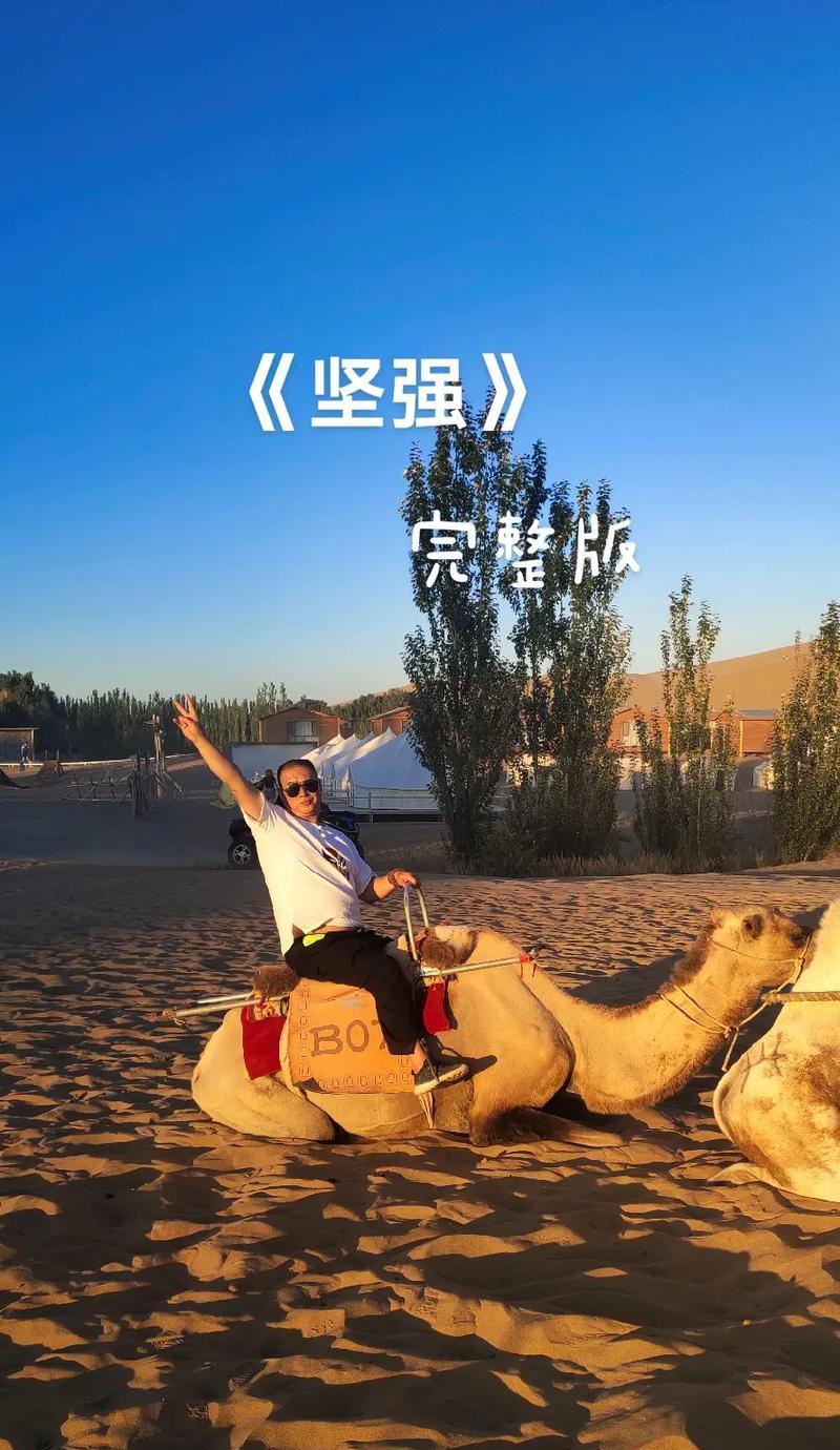 一个打不败的拳手（伟大与顽强的精神）