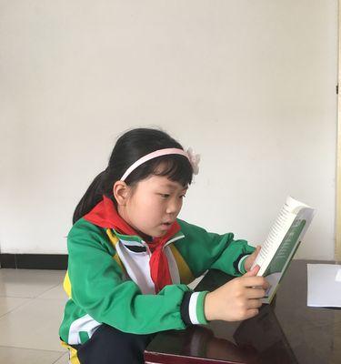 春天的魅力（阳光、绿草、花朵与音乐）
