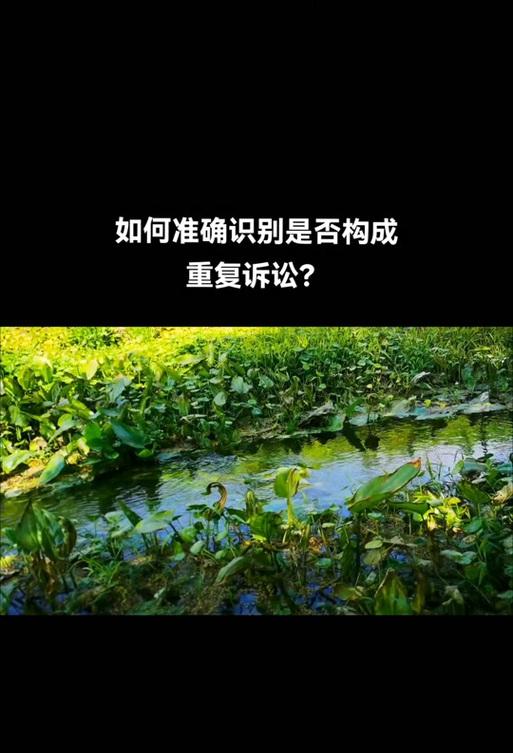 责任的重量（一个男孩的成长之路）