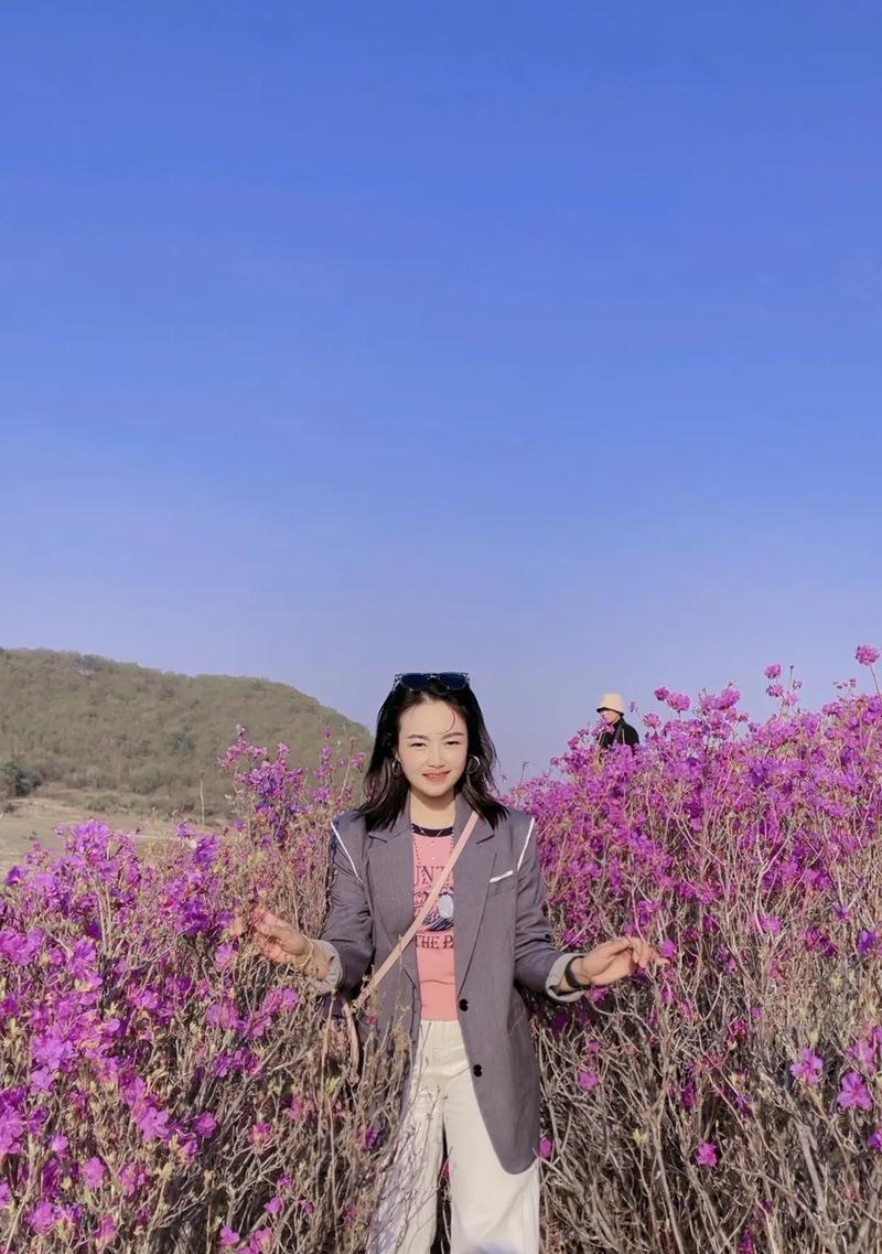 拾起被遗忘的美好（珍惜身边的风景，让心灵得到净化）