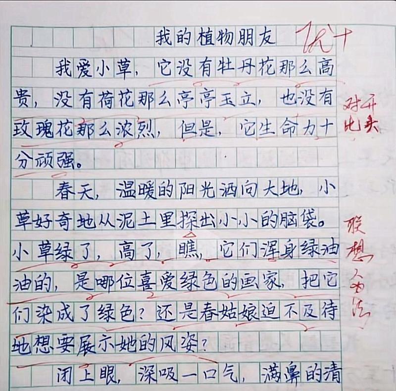 我的植物朋友——小学三年级班级的植物园之旅