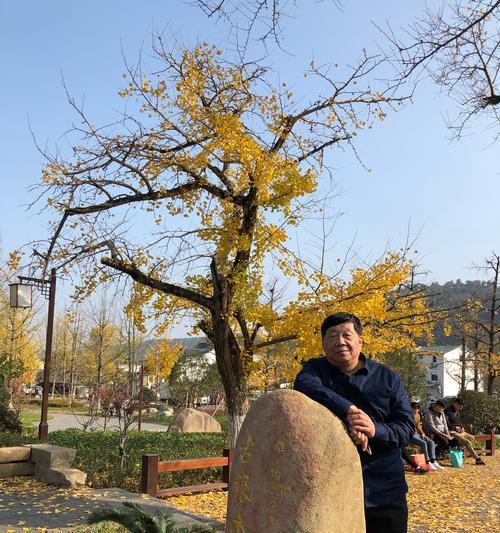 传说中的长存不老之谜（一位年轻的魔法师与他的冒险旅程）