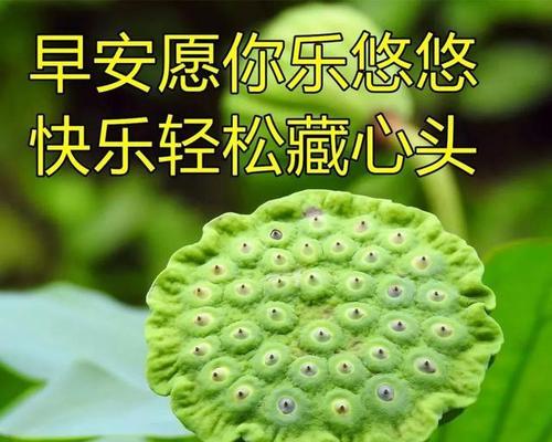 那天阳光好暖（享受这个阳光明媚的日子）