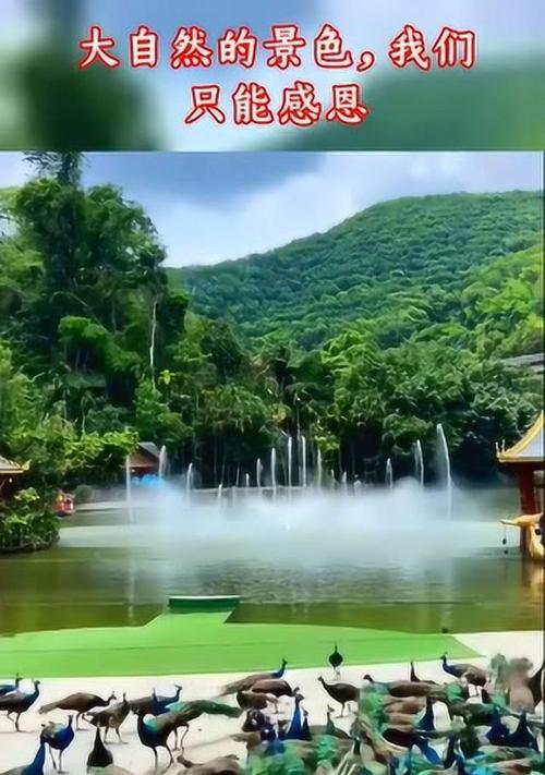 感恩大自然的心——一个小孩子的故事（在自然中游玩，发现美好与神奇）