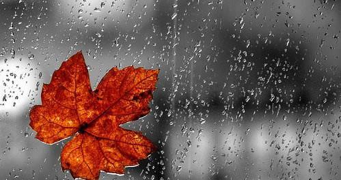 雨中相遇（一场美丽的雨景下的邂逅）