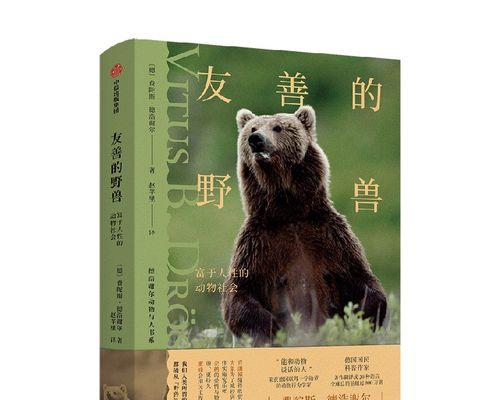 以诚待人（收获友善）
