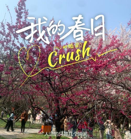 追逐大自然的足迹（走进大自然的世界，让我们感受无限陶醉）