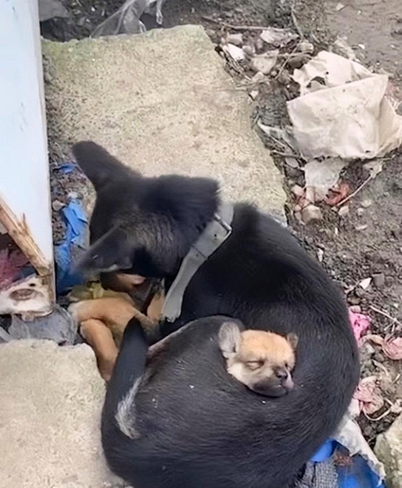 父爱无言（一位父亲的爱与坚守）