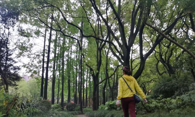 一场雨，两颗心（一场雨，两颗心）