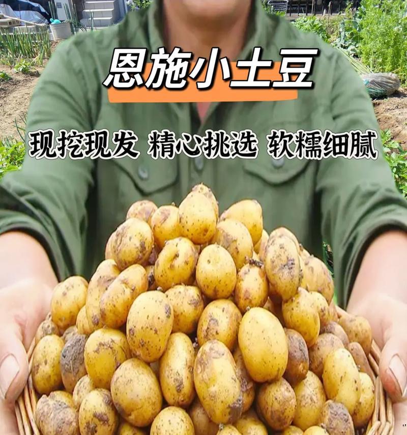 我喜欢吃土豆