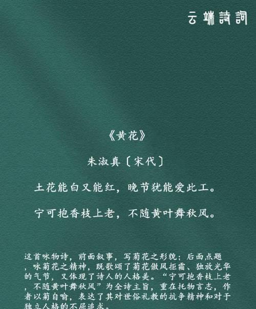 坚韧、优雅、高贵（坚韧、优雅、高贵）