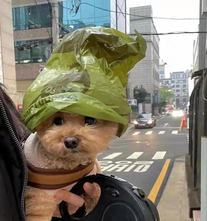 与我一路同行的好伙伴（与我一路同行的好伙伴）