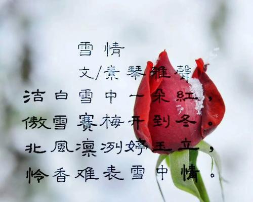 雪中再遇（重温初雪时的感动）