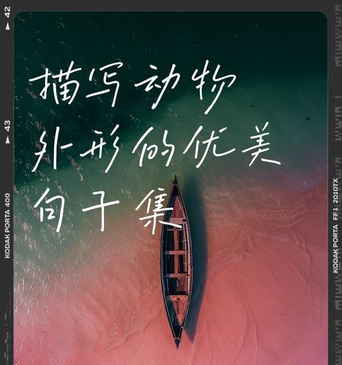 动物世界的趣事（与动物们的有趣邂逅）