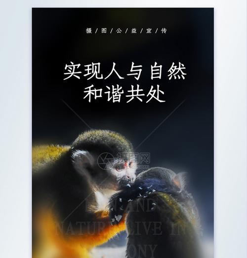 大地母亲的呼唤（人与自然和谐共生的故事）