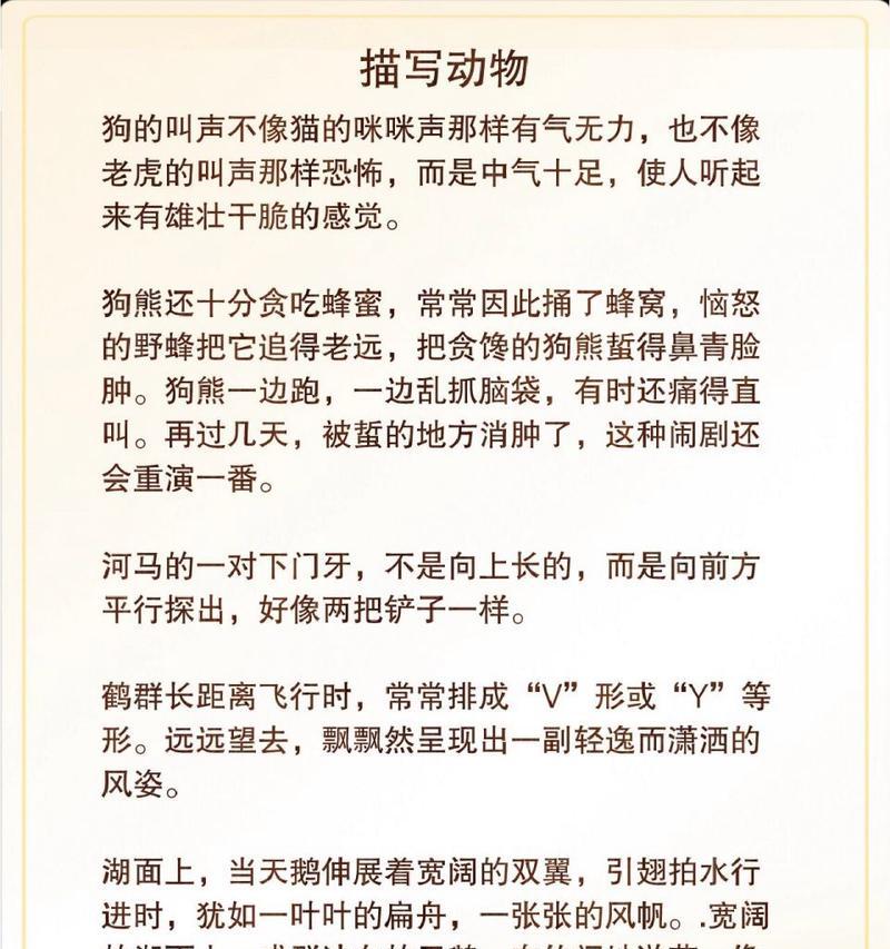 一个孤独的男孩在小狗的陪伴下找回了自信（一个孤独的男孩在小狗的陪伴下找回了自信）