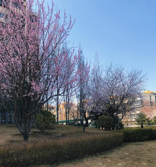 《中秋月圆》（一位远离家乡的人的寻找团圆之旅）