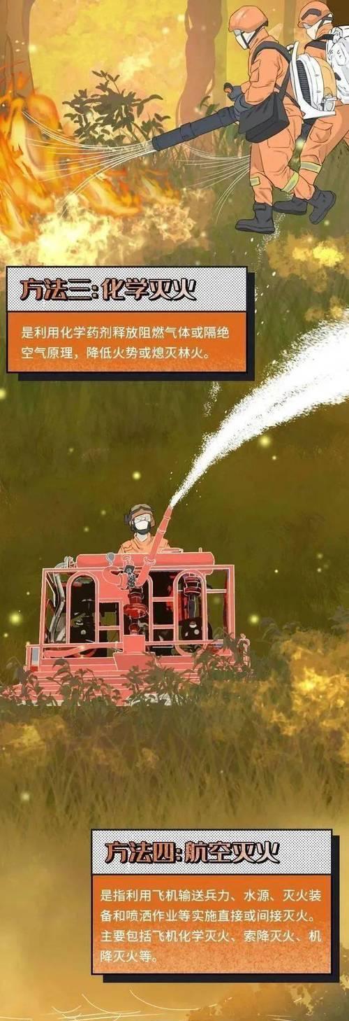 保护森林，防火从我做起（一个小学生的森林防火冒险之旅）