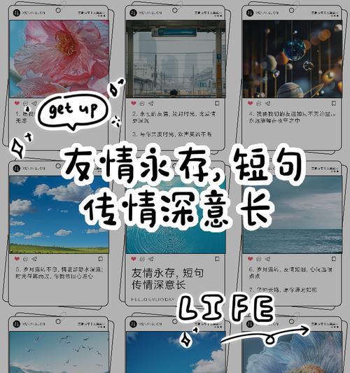 情谊永存，繁华易逝（一场缘起于小小的爱好的友情）