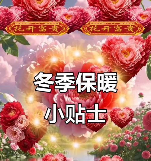 冬天来了，带着温暖与美丽（一场美妙的冬日旅程）