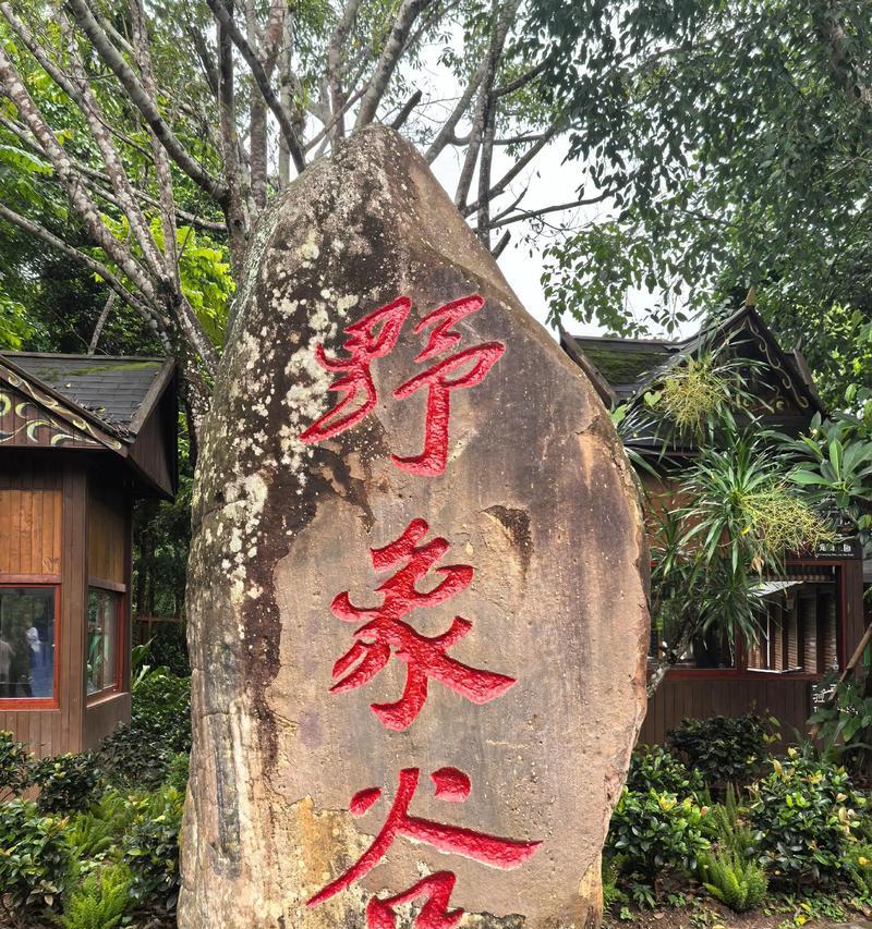 大自然的怀抱（一个孤独的旅人的故事）