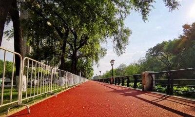 人生如旅，必有伴（人生如旅，必有伴）