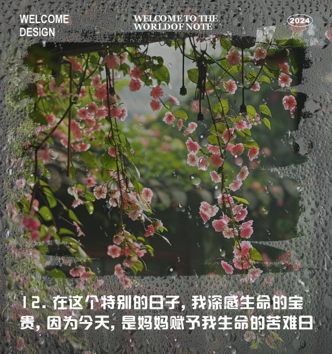回望，感恩痛苦的岁月（一个人的成长之路）
