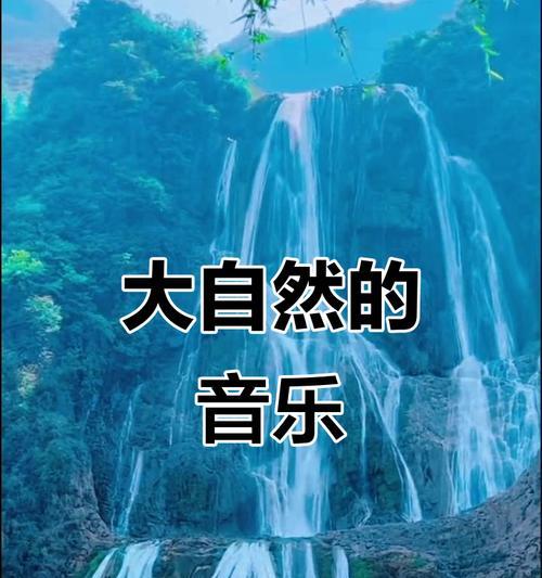 探寻大自然的生命奥秘（在感悟中领悟生命的真谛）