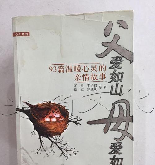 父爱如山，高大而雄伟——一段温馨的家庭故事（用父爱如山，引领儿子成长）