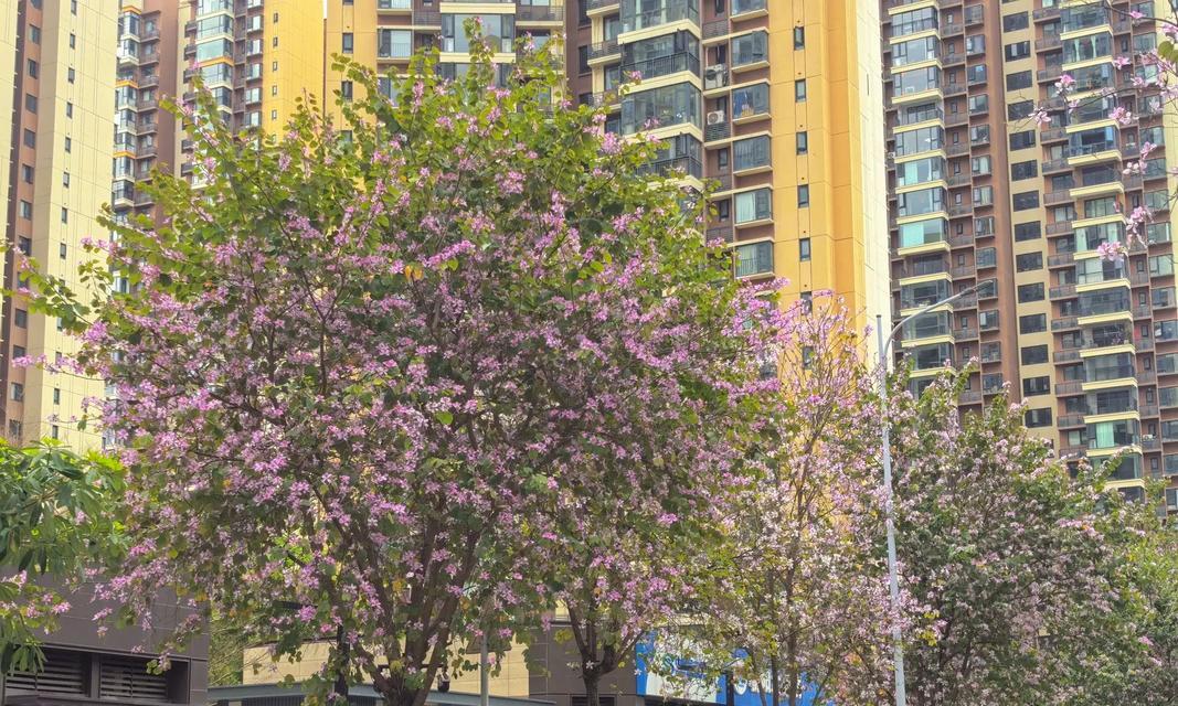 春天的生机（一个人的成长与变化）