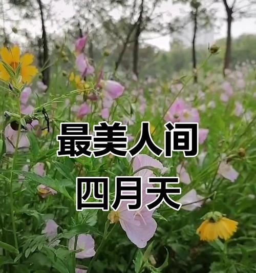 快乐是最美的时光（追寻幸福之路）