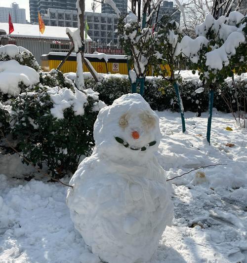 白雪皑皑，冰封寒意，冬日的美丽和神秘（白雪皑皑，冰封寒意，冬日的美丽和神秘）