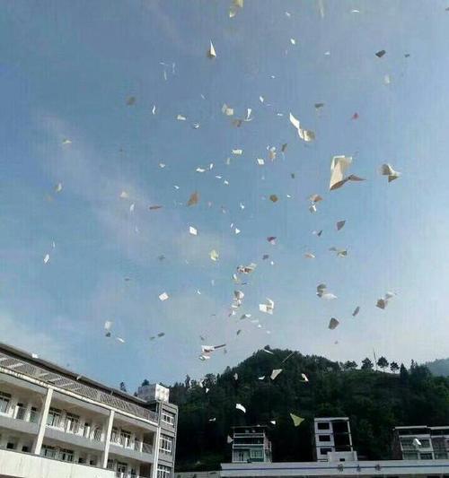 难忘的夏天