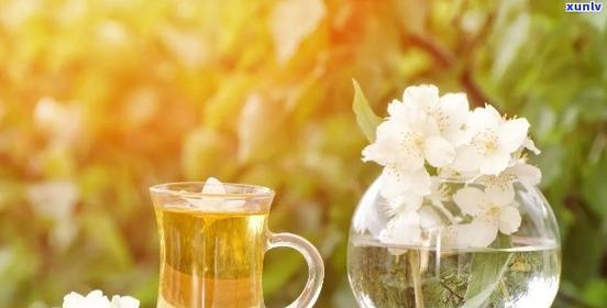 茶道人生：一壶茶，一生情