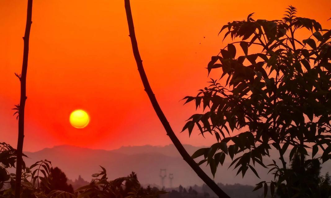 最美的夕阳（两颗心在夕阳下重逢）