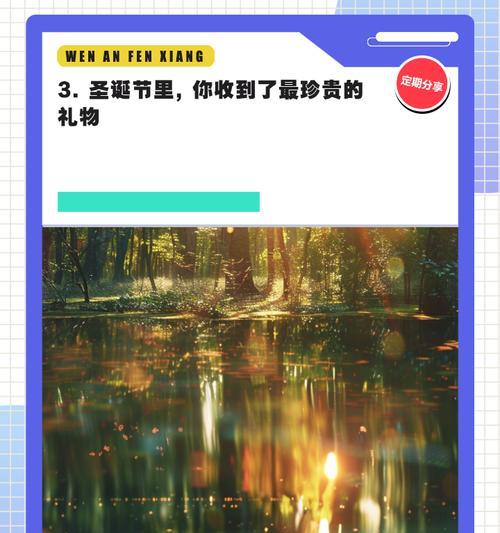 冬季的礼物——一份爱与感动