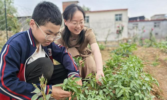 成长的担当（一个小女孩的成长之路）