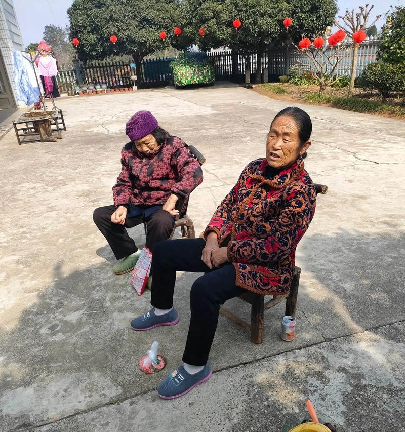 母爱的伟大——一位母亲的奉献