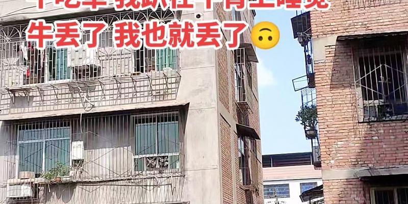 放下烦恼，享受田园生活（拥抱自然，释放压力）