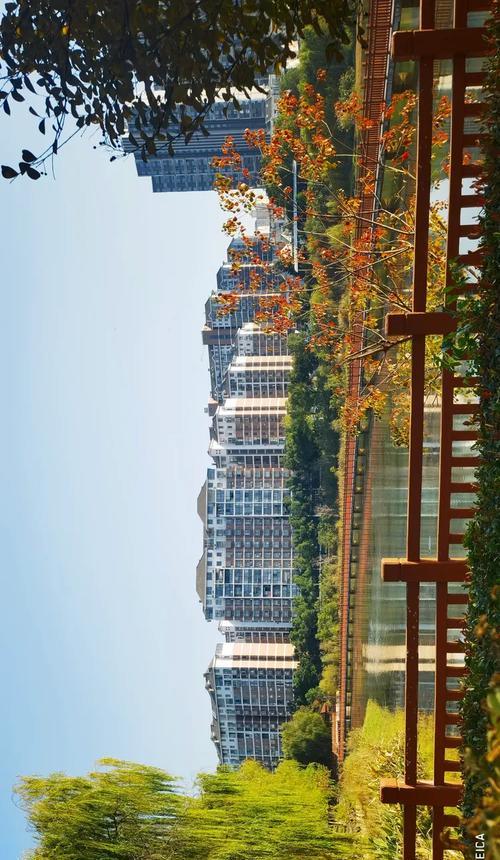 草长莺飞的校园（回忆往昔，展望未来）